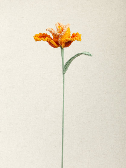 Parrot Tulip · 2 colours
