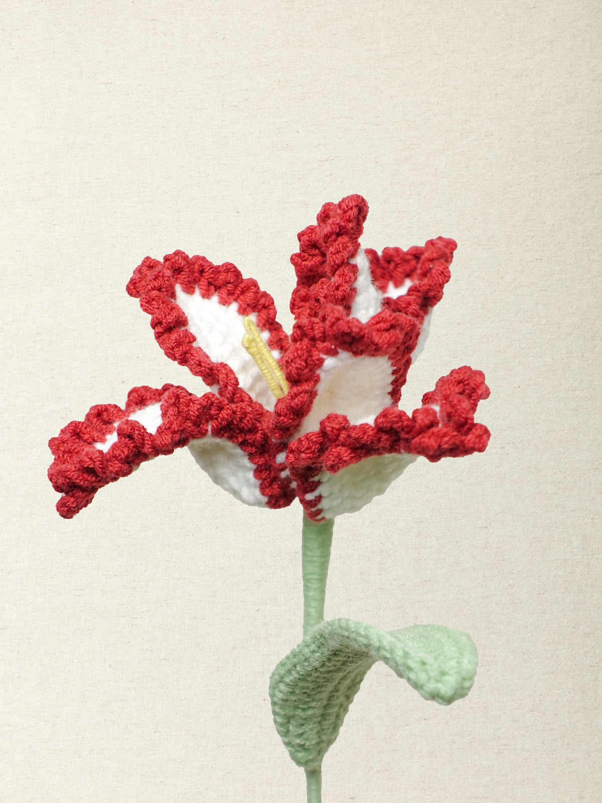 Parrot Tulip · 2 colours