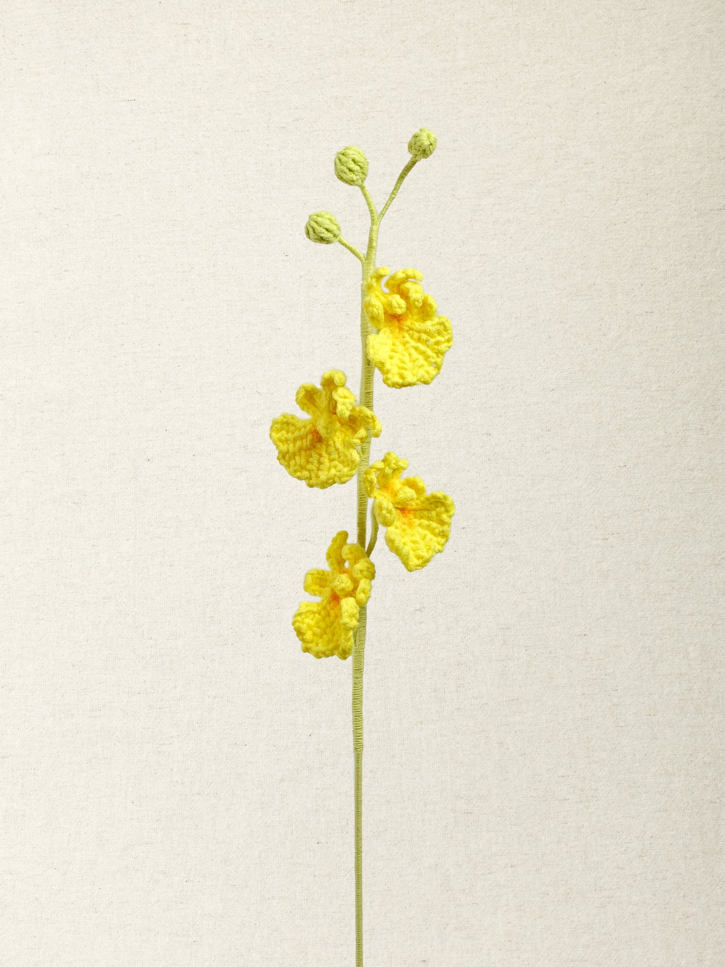 Dancing Orchid