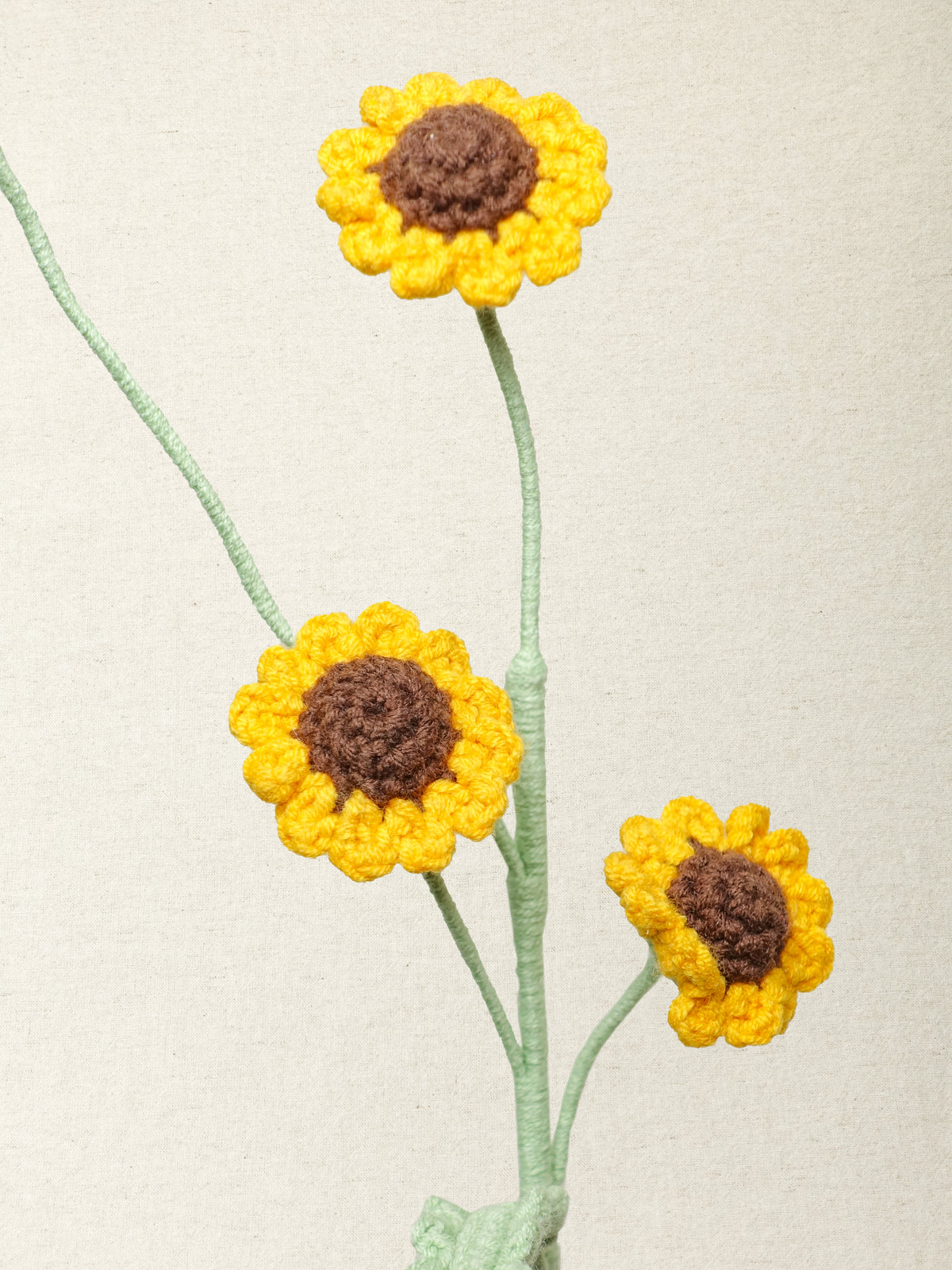 Chamomile Daisy