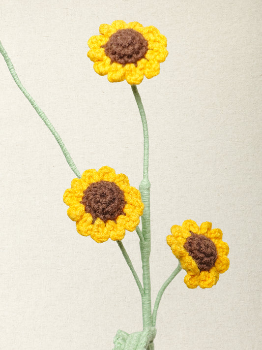 Chamomile Daisy