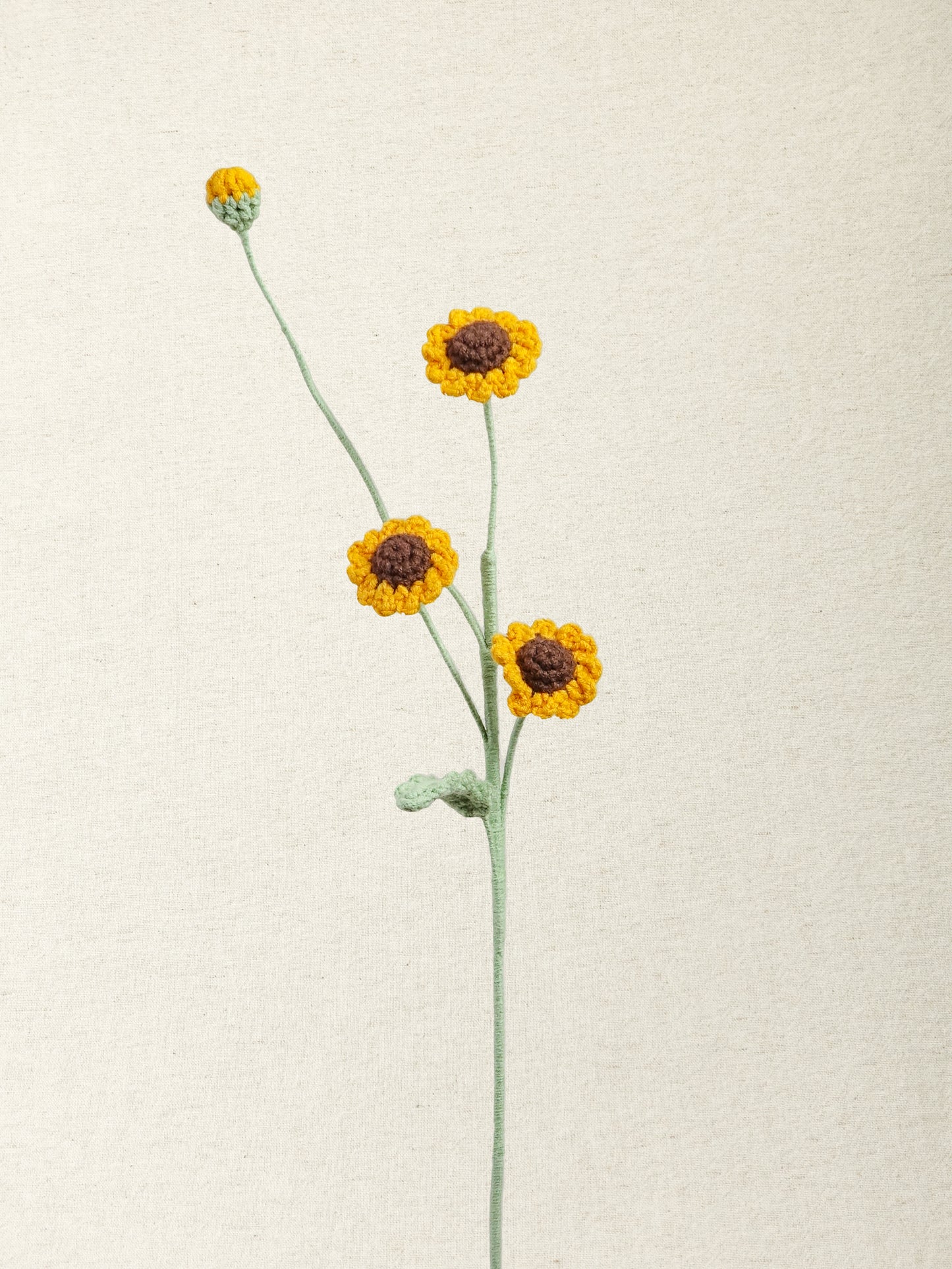 Chamomile Daisy