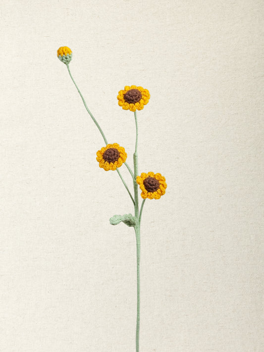Chamomile Daisy