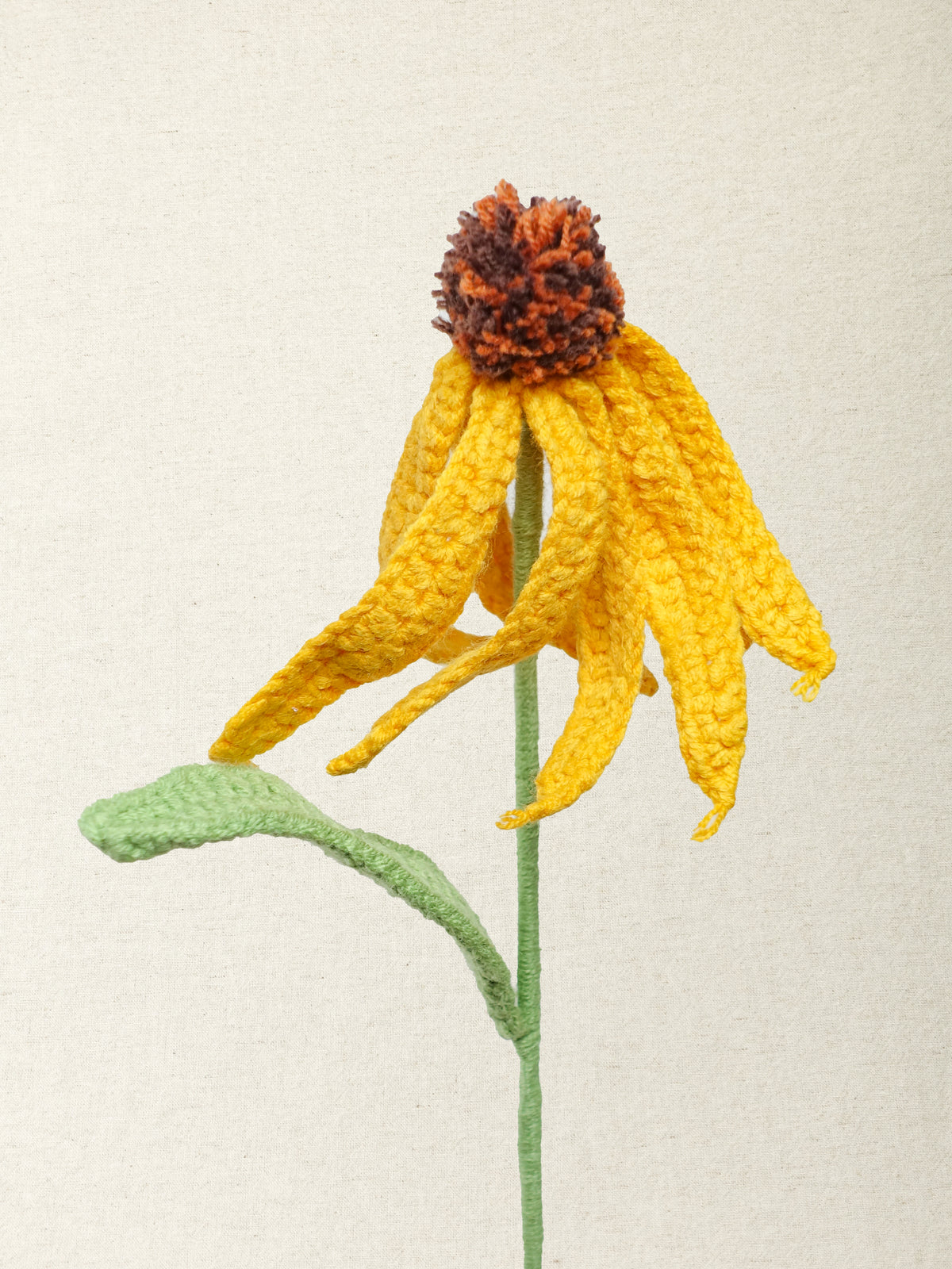 Coneflower · 3 colours