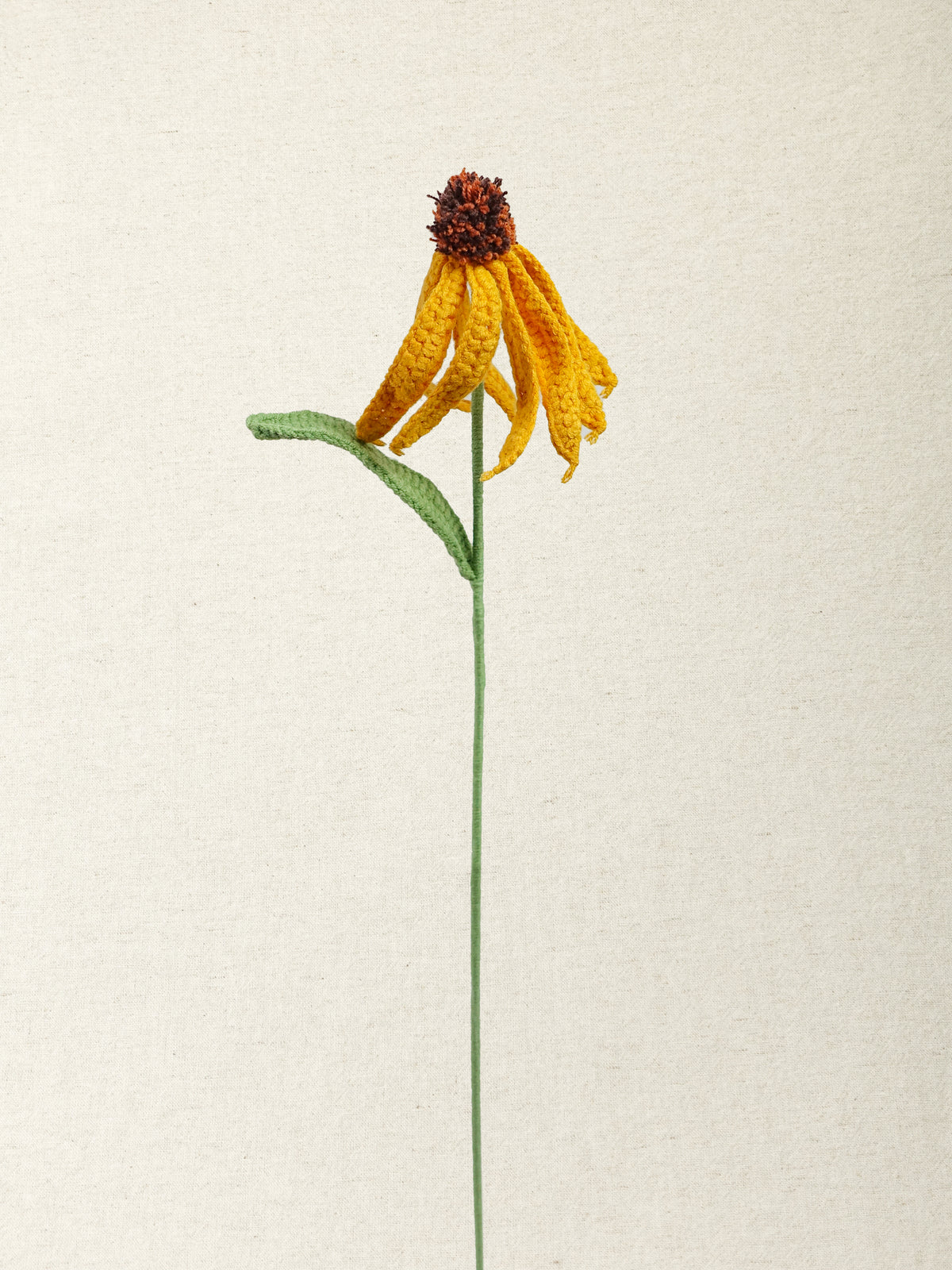 Coneflower · 3 colours