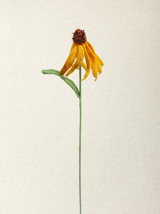 Coneflower · 3 colours