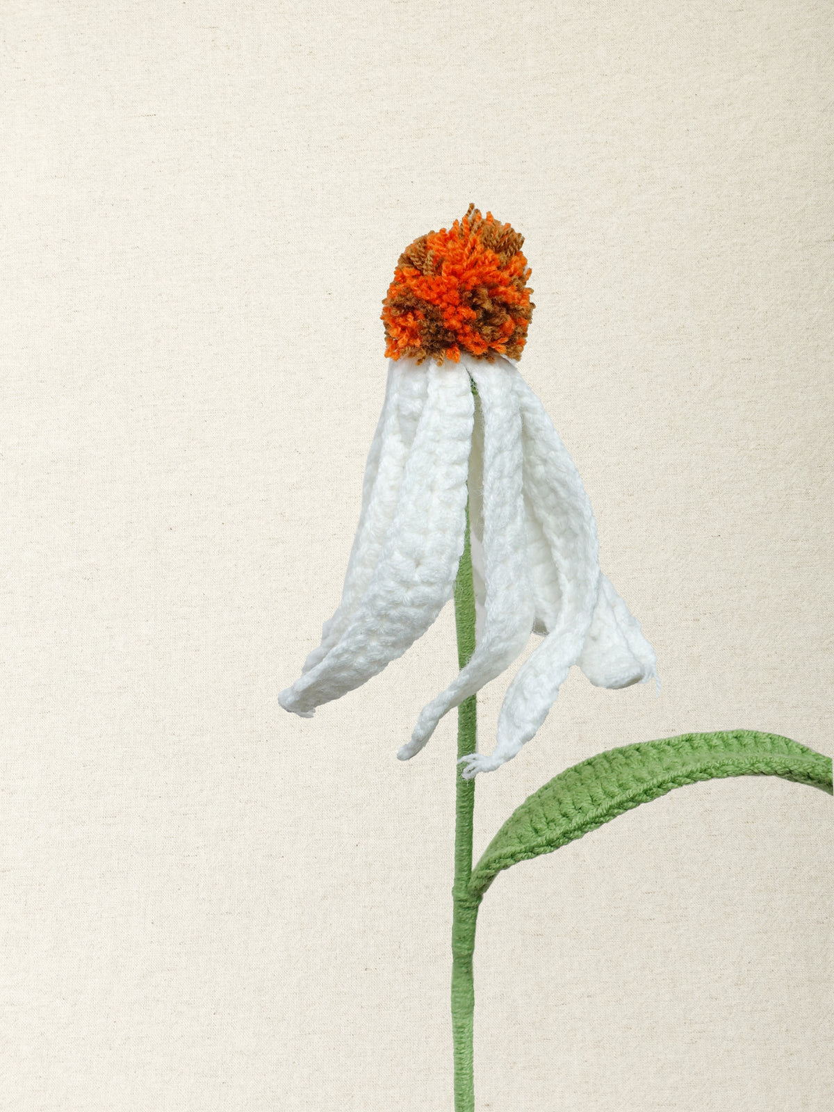 Coneflower · 3 colours