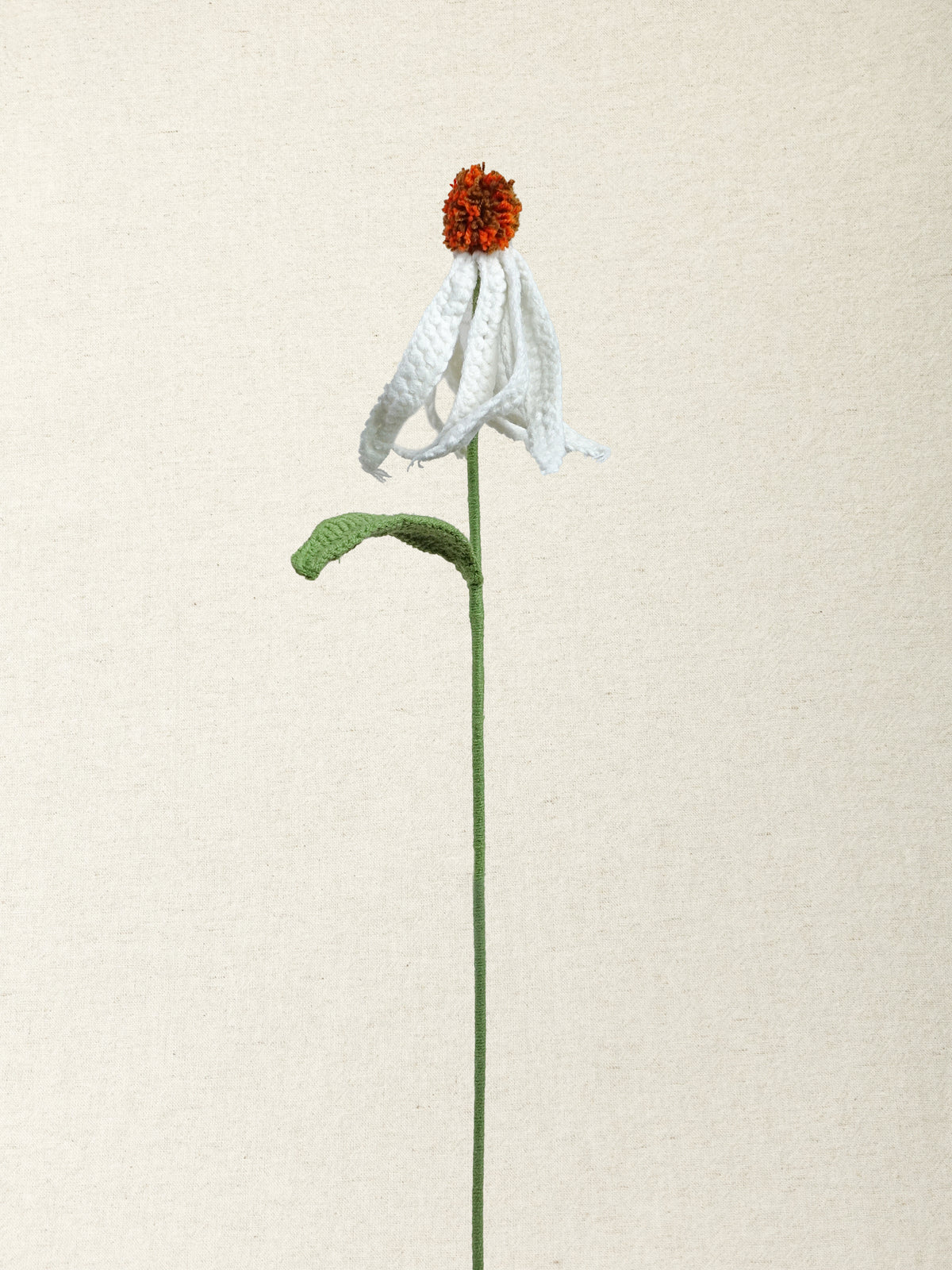 Coneflower · 3 colours