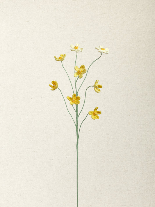 Meadow Buttercup