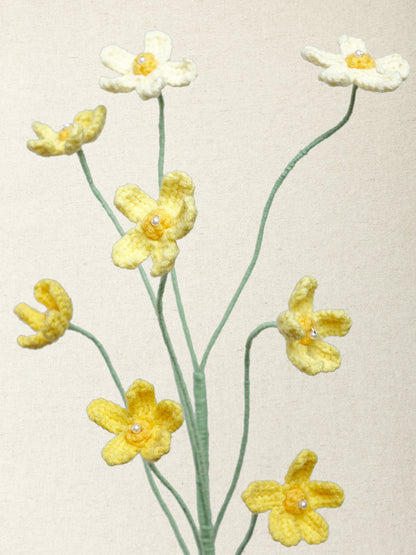 Meadow Buttercup