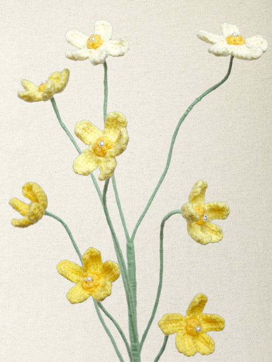 Meadow Buttercup
