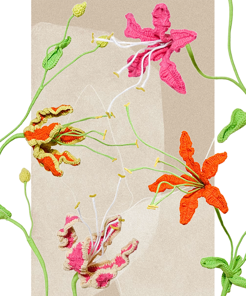 Gloriosa