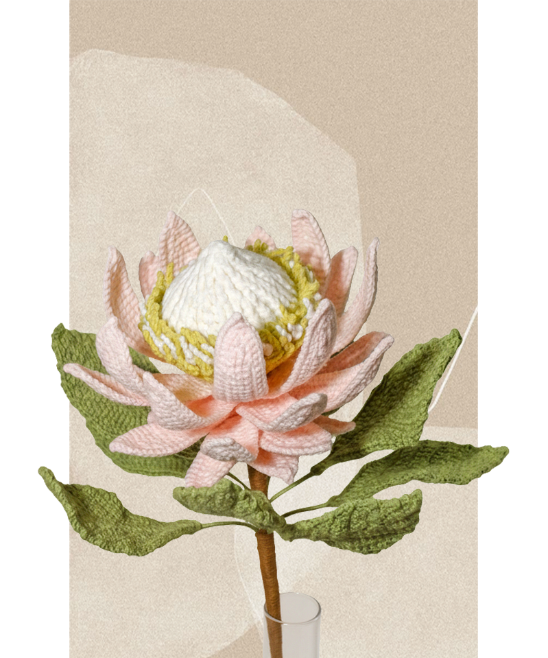 King Protea