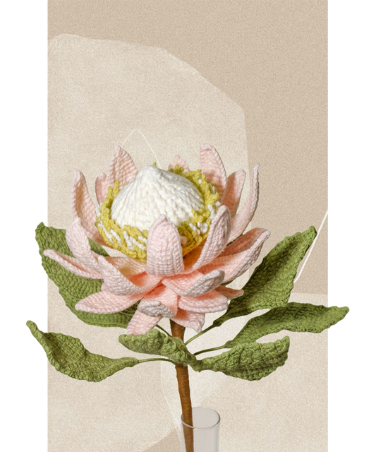 King Protea