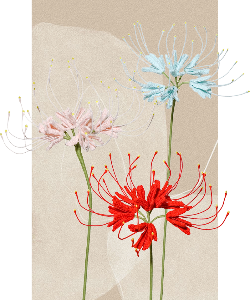 Spider Lily