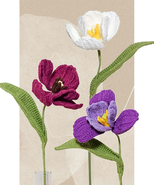 Premium Tulip