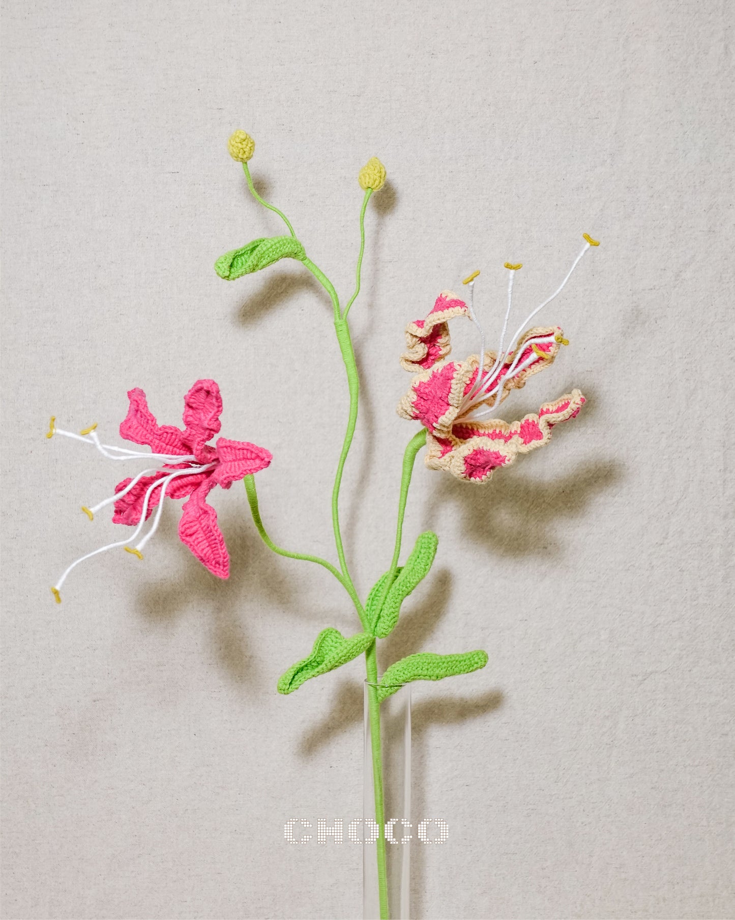 Gloriosa